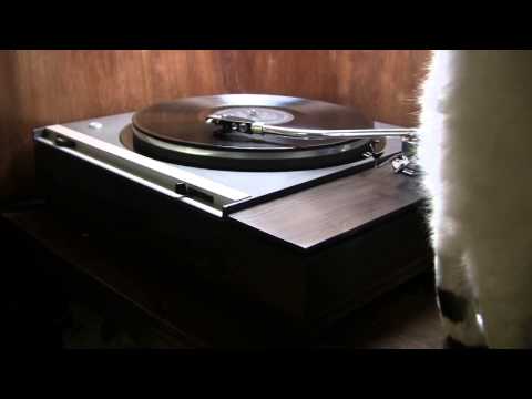 Fly Me To The Moon - David Carroll Orchestra