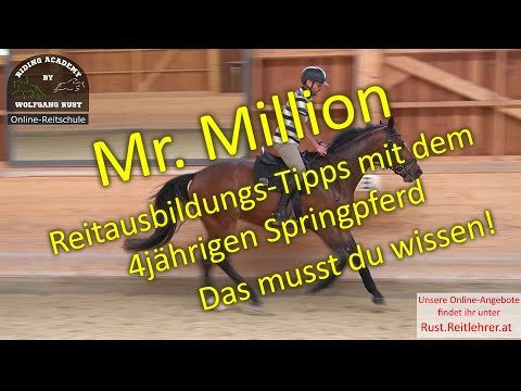 Mr.  Million 1: Vorstellung, viele Tipps und Fehler, Anreiten und Ausbilden junger Pferde lernen.