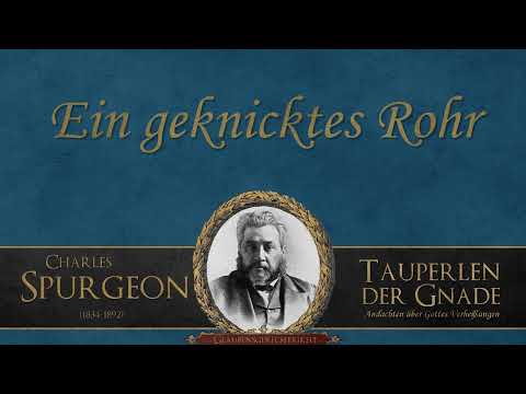 Ein geknicktes Rohr - C. H. Spurgeon