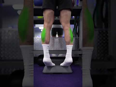 Build BIGGER Calves (DO THIS!)