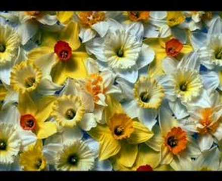 egshiglen - yag odoo