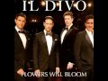 Flowers Will Bloom Il Divo