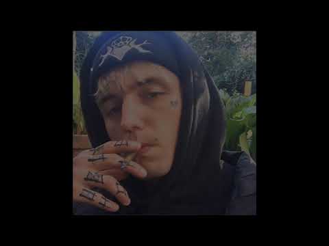 szczursonq ~ biznesplan