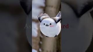 Lenka - Everything At Once (Part-2) (Lyrics)