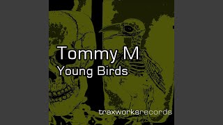 Young Birds