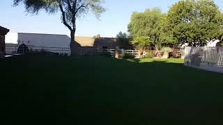 Are You And Your Lawn Ecologically Sensitive?