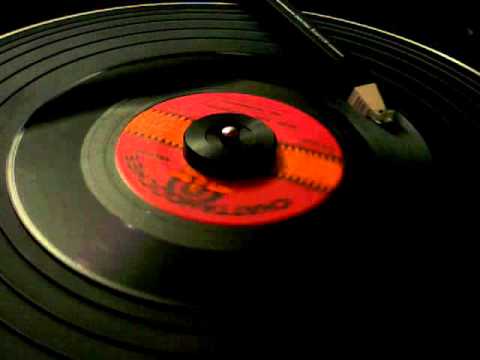 The Murmaids -  Wild and Wonderful - vinyl 45