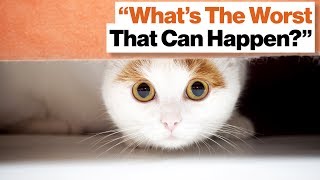 Overcome Your Fear of Failure: Booze, Bombing, and Reverse Psychology | Ari Shaffir