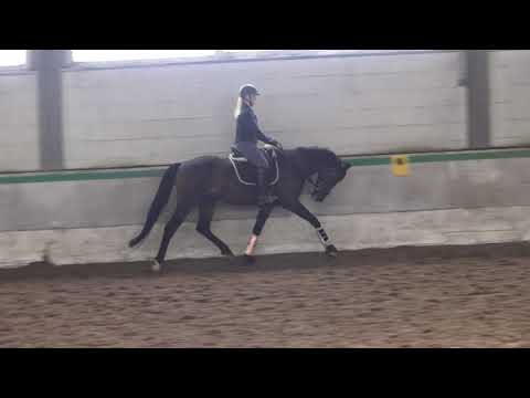 Cadeau Noir August 21