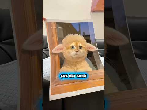 Bunlar Tatlımı 🤩💯