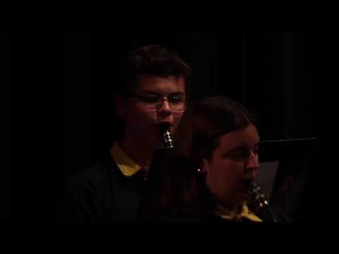 Orquestra Juvenil SMR Obidense - El Taco Picante - Robert Sheldon