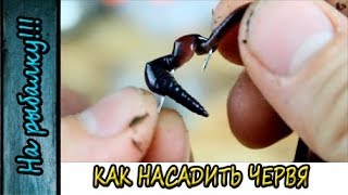 Как правильно одевать наживку на фидера