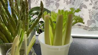 How to maintain some vegies to long freshness