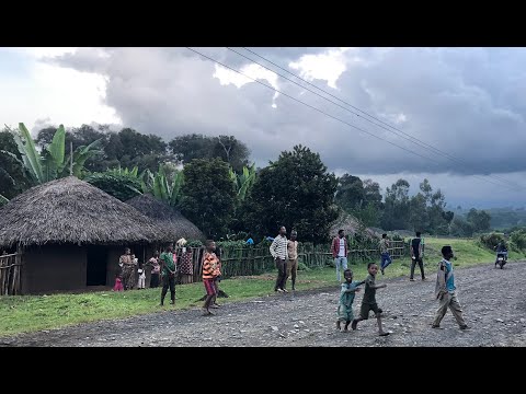 Family Coffee Plantation - Ethiopia Tour - K Bean Coffee Machines, Melbourne