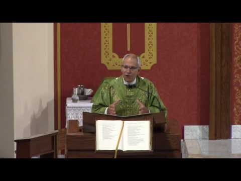 Fifteenth Sunday in Ordinary Time (Year A) - Fr. Hahn
