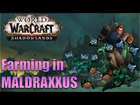 25K GOLD FARM IN MALDRAXXUS with herbalism and mining