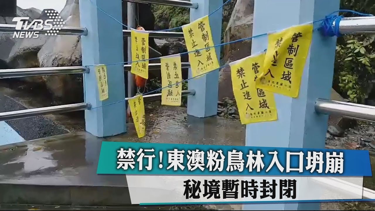 禁行!東澳粉鳥林入口坍崩 秘境暫時封閉