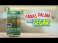 Indosiar Jeda Iklan Pengganti Adzan Maghrib 29 Agu 2023 17 56 WIB
