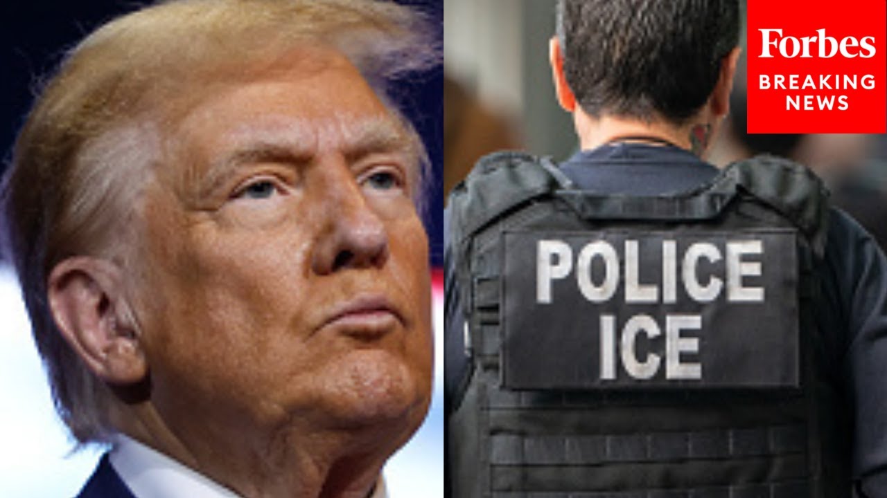 'The President Is Ready To Go': NSA Nom Mike Waltz Promises 'Aggressive' Deportations 'Minute One'