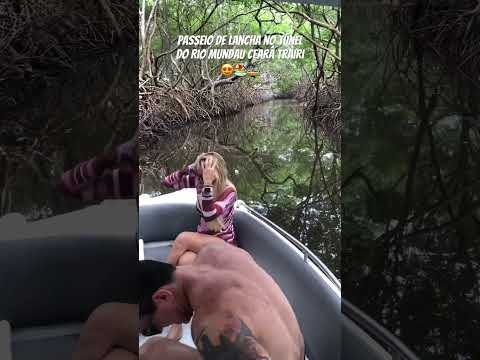 Passeio de lancha no túnel do rio mundau 🌊😍❤️🏖️