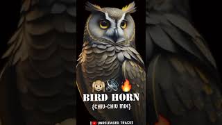 Download lagu 📢COMPETITION HORN🙉|BIRD HORN(CHIV-CHIV MIX)|UNRELEASED TRACK|#competition #music#unreleasedsongs mp3