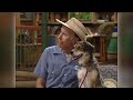 Barney Friends S7E4 Puppy Love 2002 From Children S Favorites 2 2004 Alternate Edit