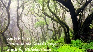 ❤♫ Nicholas Gunn - Kaibab Forest 凱巴森林 (1996)