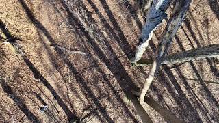 Download lagu McKaig Nancy Lang Trail, Semi Fallen Tree mp3 Download lagu McKaig Nancy Lang Trail, Semi Fallen Tree mp3