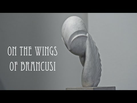 On The Wings of Brancusi