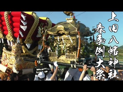 平成28年 上田八幡神社春祭り お神輿 総練り