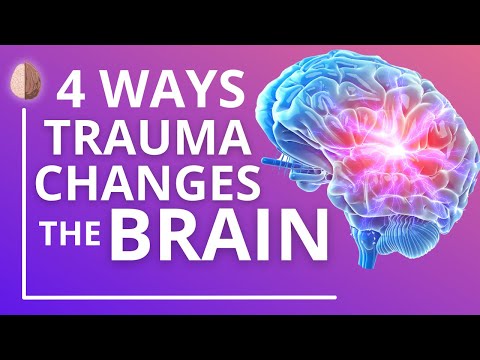 How Trauma and PTSD Change the Brain