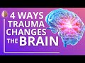 How Trauma And PTSD Change The Brain