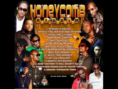 Marlon Binns When The Ting Them Rise