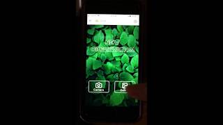 Plantnet Tutorial