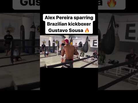 ALEX PEREIRA sparring Brazilian kickboxer GUSTAVO SOUSA🔥