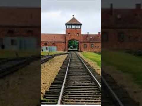 27 gennaio giornata della memoria 🌹🇮🇱