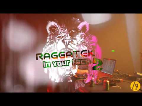 17.01.2015 - PARANOIAK ● LIVE AT RAGGATEK IN YOUR FACE 2 ● NANCY L'AUTRE CANAL