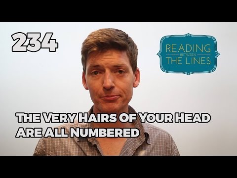 Reading Between the Lines 234 - The Very Hairs of Your Head are all Numbered
