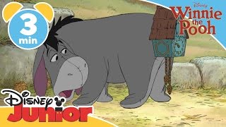 The Mini Adventures of Winnie the Pooh | Eeyore&#39;s Contest | Disney Junior UK