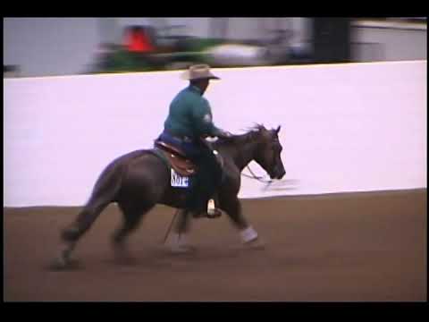 Sugars Lil Whiz - 2009 Congress Open Futurity, 1st go