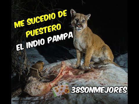 Me Sucedio de Puestero | El Indio Pampa