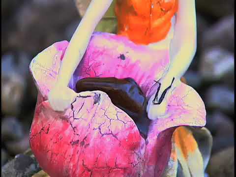 Episode 106 - Outdoor Enhancements