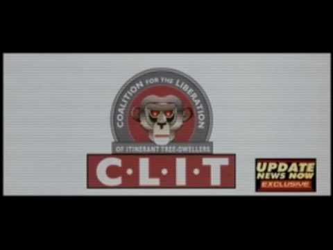 The C.L.I.T Commander