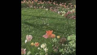 inhaler - i want you (slowed + reverb)