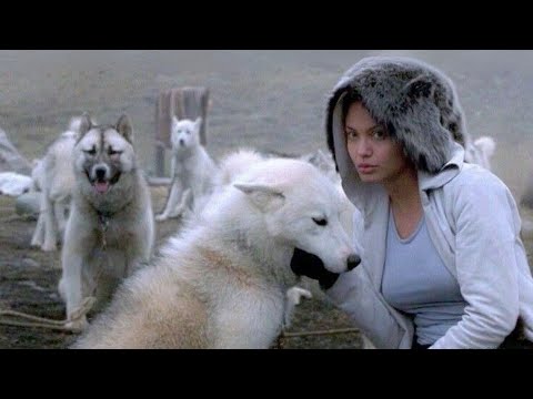 MY 2026. (by KOTTIE)