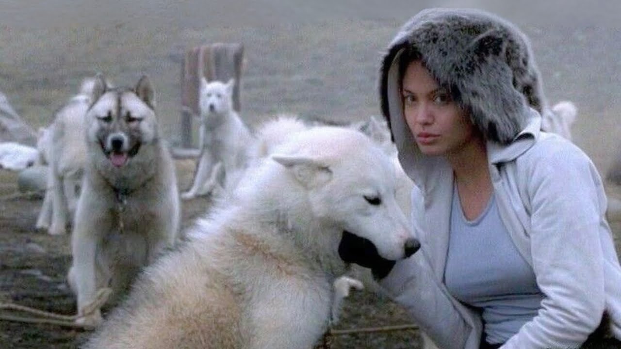 MY 2026. (by KOTTIE)