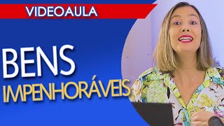 QUAIS SÃO OS BENS IMPENHORÁVEIS? Nesse vídeo eu conto tudo.