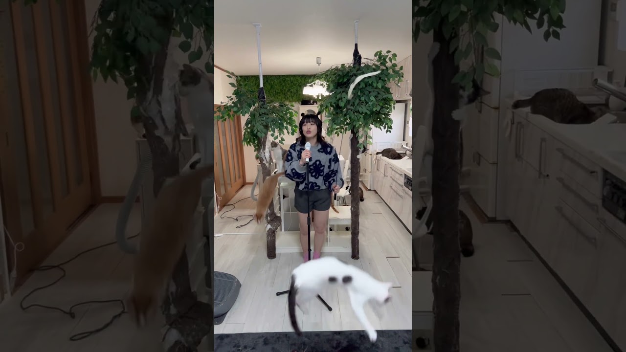 今年の目標は登録者10万に達成。