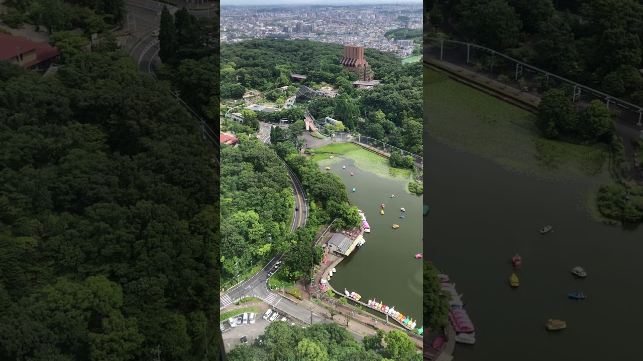 YouTube Short thumbnail