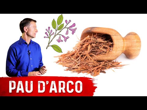 Forget the Coffee Do Wheat Grass Juice for ENERGY